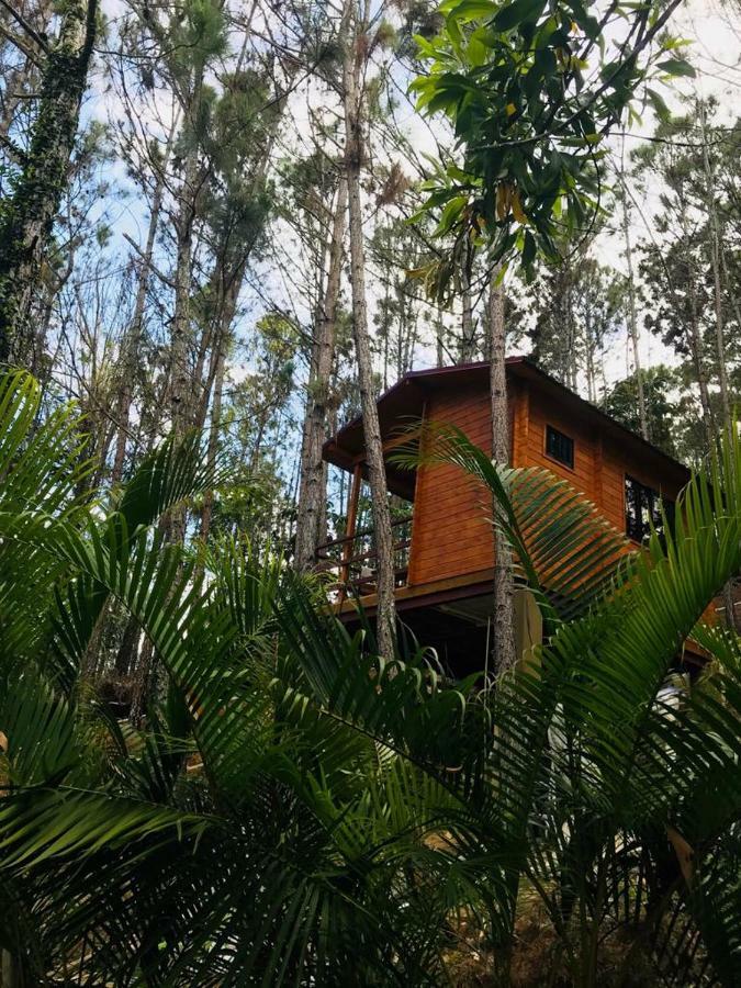 Hotel Casa De Arbol, Rancho Tierra Alta à Jarabacoa Extérieur photo