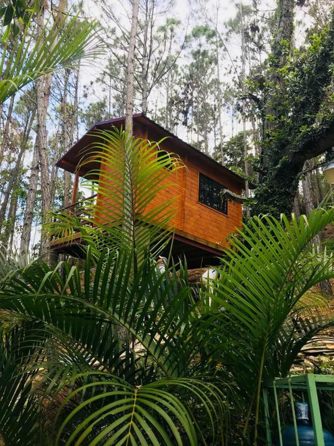 Hotel Casa De Arbol, Rancho Tierra Alta à Jarabacoa Extérieur photo